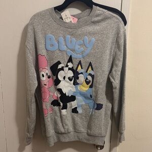 Gray Bluey Sweatshirt with Characters